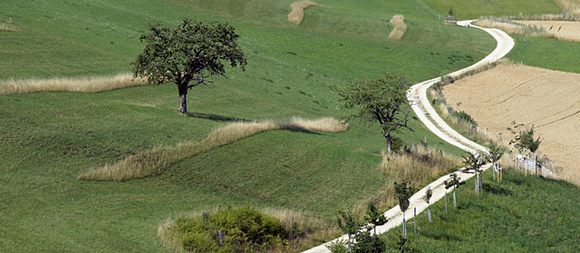 Visual Hauptthema ÖI im Landwirtschaftsgebiet