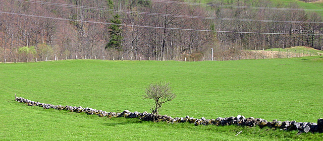 Visual Hauptthema Mosaiklebensräume