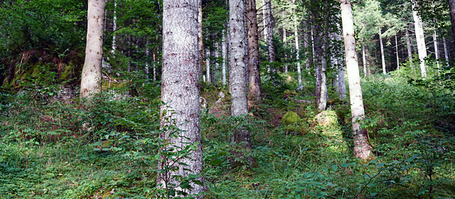 Visual Hauptthema Raumplanerische Umsetzung der ÖI